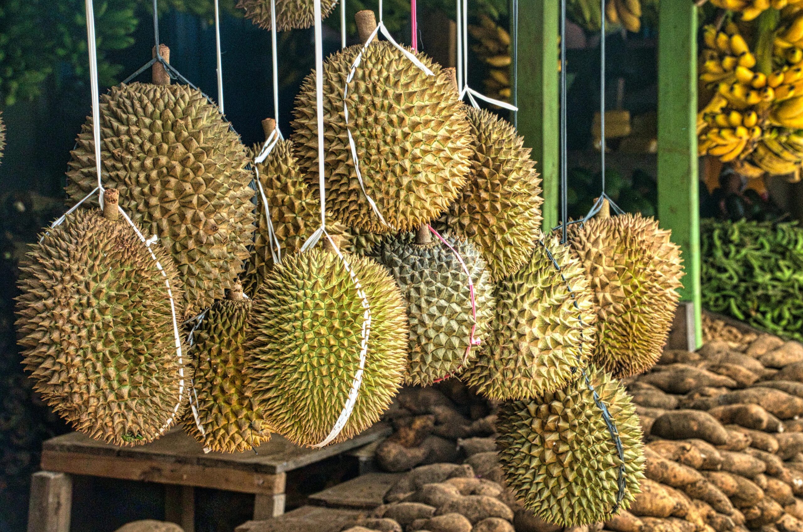 Catat, Ini Tips Memilih Durian yang Manis